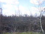 DSC05188.JPG